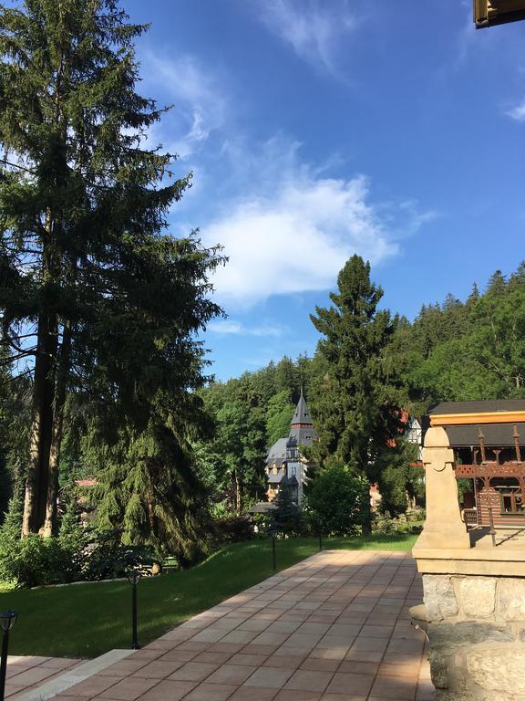 Willa Trebla Miedzygorze Bagian luar foto